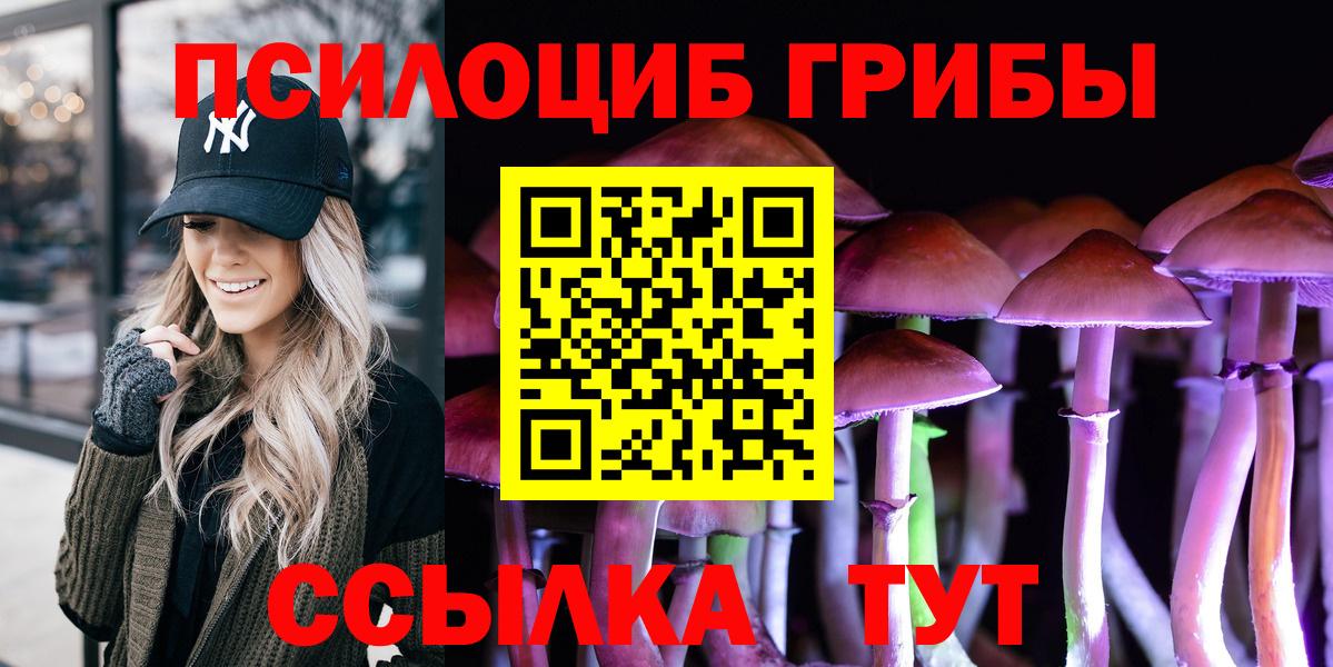 Псилоцибиновые грибы Psilocybine cubensis Калуга