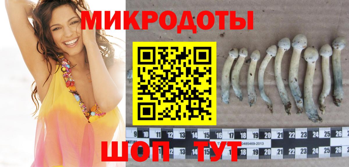 Калуга  Псилоцибиновые грибы Psilocybe  Вход с VPN 